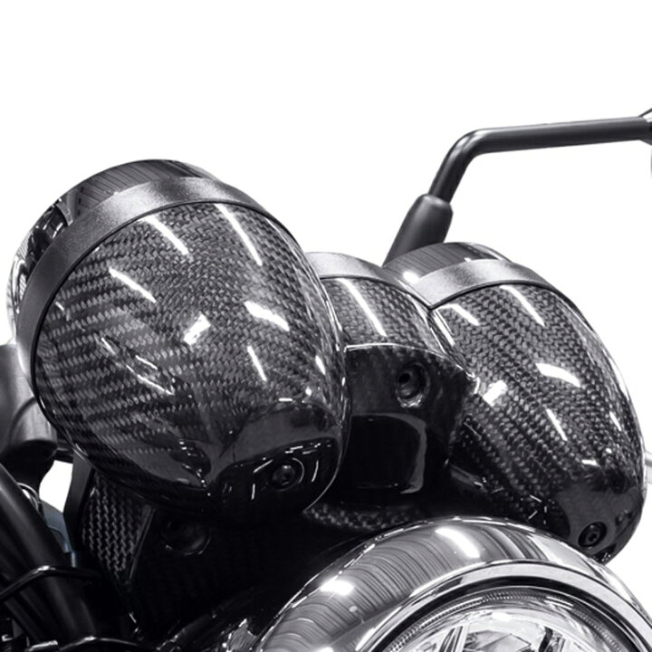 楽天市場】カワサキ Z900RS/CAFE カーボンメーターロアケース アーキ  