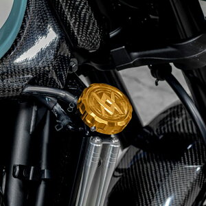 JTL Z900RS/CAFE 2018-2020 WG^[LbvJo[(S[h) A[L