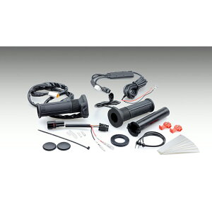 KIJIMA KAWASAKI ZX-25R Obvq[^[Lbg