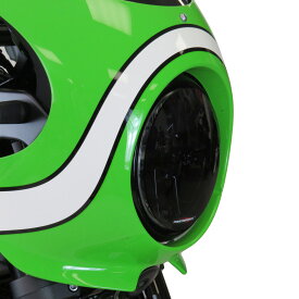 Kawasaki Z900RS ヘッドライトプロテクター ダークティント POWERBRONZE