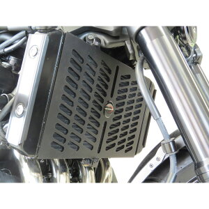 yGg[Ń|Cg10{zKawasaki Z900RS WG^[O(XeXX`[) ubN POWERBRONZE