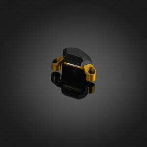 Kawasaki Z900RS GW|CgK[h() CS[h BIKERS