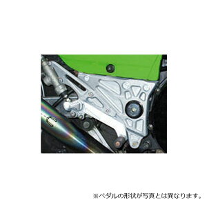 r[gWp(BEET JAPAN) nCp[oN Xebvy_Œ莮 t`FWVtg GPZ900R Ninja