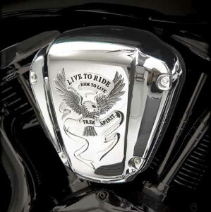 SHOW CHROME FreeSpirit GAN[i[Jo[ oJ2000