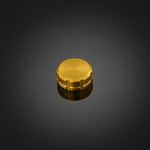 Kawasaki Z900RS AU[o[^NLbv CS[h BIKERS