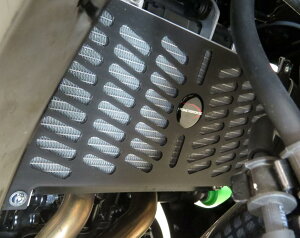 �J���T�L Z650RS Z650 NINJA650 2020- ���W�G�[�^�[�K�[�h �p���[�u�����Y