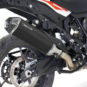 �����X(REMUS) HEXACONE �X���b�v�I�� �X�e�����X�u���b�N EC�K�� 1290 Super AdventureS/R/T 094782 658017