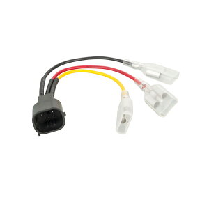 BMW RnineT �e�[�������v�v���O RAISCH