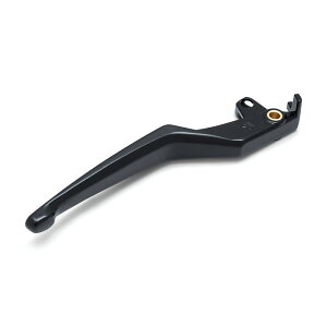 S[hECO GL1800 18- DCT Omni o[ ubN DCTԃu[L