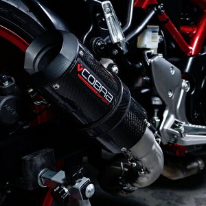 XYL SV650 2016- XbvI}t[ J[{ "GP" RuX|[c