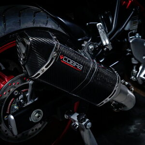 XYL SV650 2016- XbvI}t[ J[{ "COMP" RuX|[c