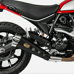 DUCATI XNu[XbvI}t[ 21-22 LOW MOUNTED [Xp ZARD