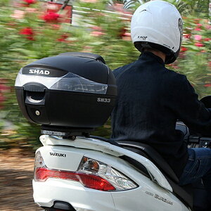 SHAD SH33 gbvP[X 33L (hubN)