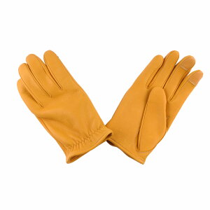 GMG fBAXLO[u V[gXg S[h