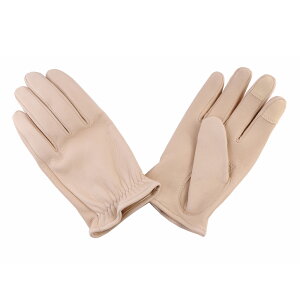 GMG fBAXLO[u V[gXg AC{[