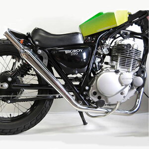 XYL OXgbJ[/ST250 FLAKES gybg}t[ tGL Abv [^[bN