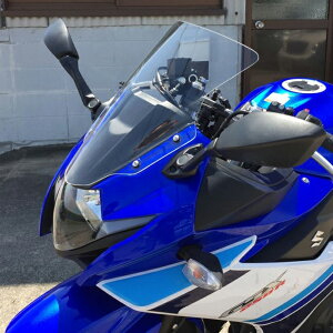 XYL GSX250R XN[(NA) ACRY Point