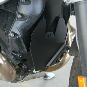 BMW R1200V[Y tgGWK[h ubN AltRider