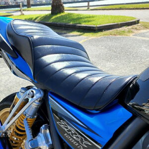 ZRX1200DAEG/1200R/1100 LOWV[g Q ^bN[ ubN "GTR-Series" 䪉׃V[g