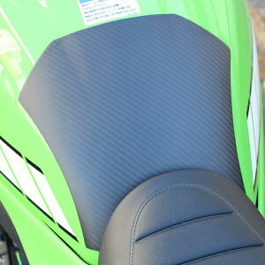 Z900RS タンクパッド ドライカーボン SPEEDRA