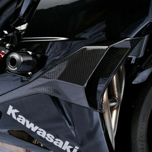 ZX-25R TChJE_Ng EZbg hCJ[{ SPEEDRA