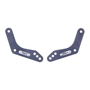 Z900/Z900RS [_ELbg T-Rex Racing