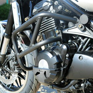 Gg[Ń|Cg10{Z900RS GWK[h ubN T-Rex Racing