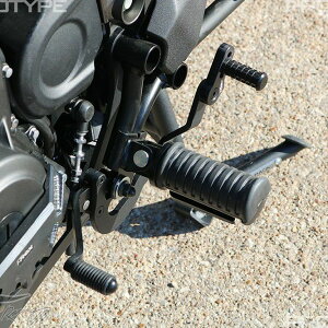 JTL G~l[^[ V[\[y_ T-Rex Racing