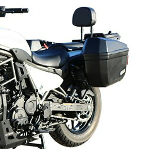 JTL G~l[^[ TChP[XLbg 22L T-Rex Racing