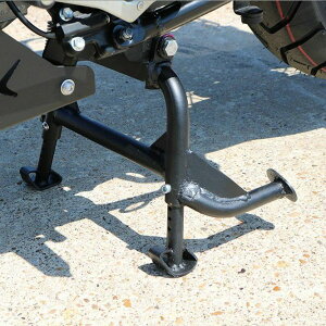 VXg[650 AWX^u Z^[X^h T-Rex Racing