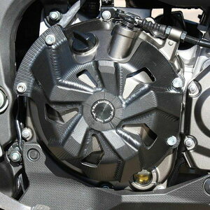 JTL Ninja 1000/Z1000/Versys 1000/LT GWP[XJo[ T-REX [VO