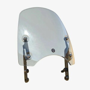 XYL ST250 XN[ NVbNS3 CgX[N DART FLYSCREEN