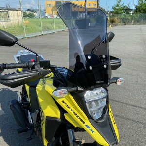 XYL VXg[250SX XN[ X[N AN|Cg