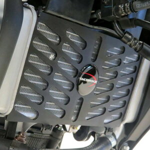 }n XSR125/MT-125 WG[^[K[h }bgubN p[uY