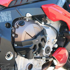 S1000R S1000RR GWK[h/P[X T-REX[VO