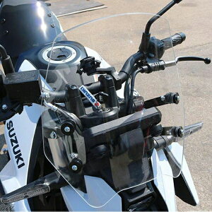 GSX-8S EChV[h XN[ EChveNVUP T-REX [VO