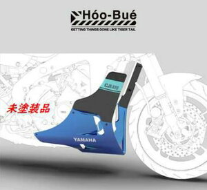 Gg[Ń|Cg10{XSR900 MT-09 C-S x[p A_[JE RAW HooBue