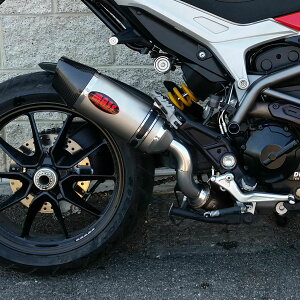 hDJeB nCp[^[h821 I[o`^ XbvI}t[ J[{`bv MASS Exhaust