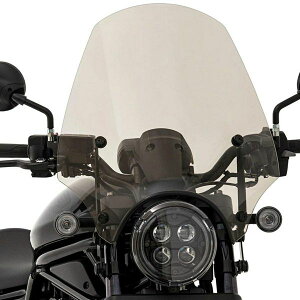 u1100/DCT/CL500/250 Gp\ X|[cEChV[h19C` \[[ El Paso Sportshield 19" SOLAR tBXVF[h