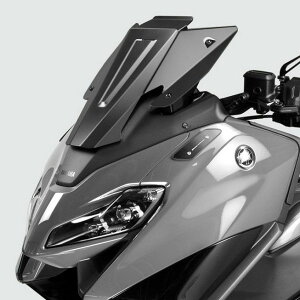 TMAX560 22- �E�C���h�X�N���[�� �A���~ �u���b�N DPM