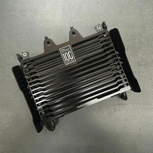 BMW RnineT MEGA �I�C���N�[���[ BMW100���N�L�O DK�f�U�C��