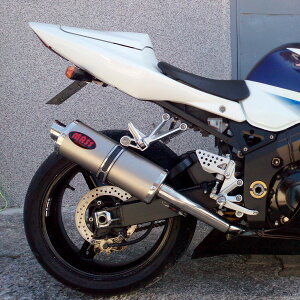 Gg[Ń|Cg10{GSX-R1000 I[o XbvI}t[ MASS Exhaust
