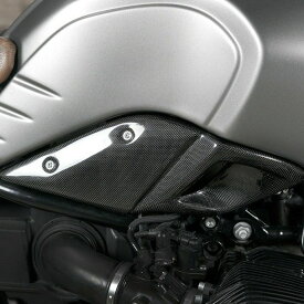 BMW RnineT エアインテーク カバー カーボン RAISCH