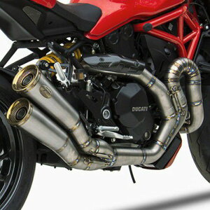 DUCATI X^[1200S 14-16 tGL][Xg}t[ ZARD