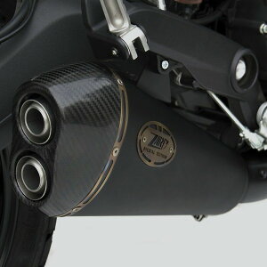 DUCATI XNu[800 15-20 XbvI}t[ ubN/J[{Gh [VOdl ZARD