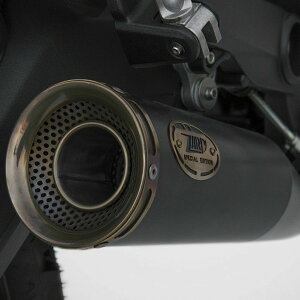 DUCATI XNu[800 15-20 XbvI}t[ "ZUMA" [VOdl ubN/uY ZARD