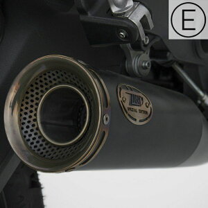 DUCATI XNu[800 17-20 XbvI}t[ "ZUMA" EURO4 ubN/uY ZARD