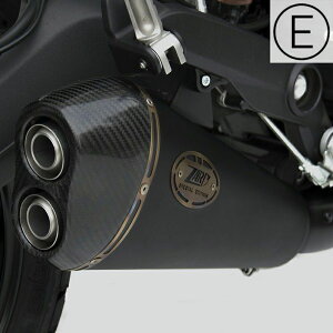 DUCATI XNu[800 17-20 XbvI}t[ ubN/J[{Gh EURO4 ZARD