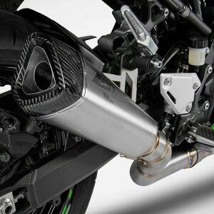 Z900 20- tGL][Xg}t[ E}[Nt ZARD