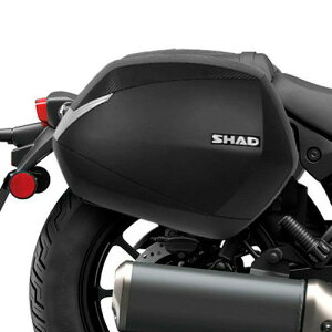 JTL G~l[^[/SE TChP[XtBbeBOLbg SHAD